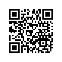 248-25111-00-38 Ступица Переднего Колеса