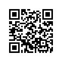 24808-MN5-000 PIN,REVERSE BAR