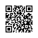 24873-ZW1-V01 BUSH