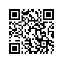 24935-19B00-095 Shim (t:0.95)