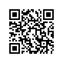 24935-19B00-110 Shim (t:1.10)