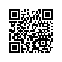 250081060