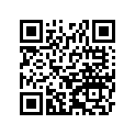 250081116 Bracket-meter, Speedom