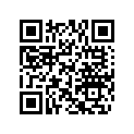 250100103 Hex. Jam Nut M24