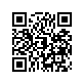 25026-001 Ring-meter