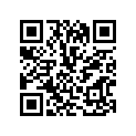 25222-93901 BOOTSHIFTROD