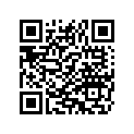 2528 SCREW,HXSCKT,BTNHD