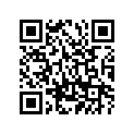 256-15451-00-00 Прокладка