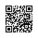 257-17461-31-00 スプロケツト,ドライブ (13T)