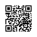 25A-11636-00-00 Поршень
