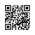 25A-11638-00-00 Поршень