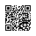 260041006