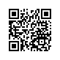 260041074