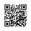 260110041 Wire-lead, Battery(-)