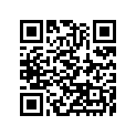 260110132 Wire-lead, Battery(-)