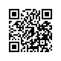 260110928 Wire-lead, Battery(+)