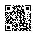 260111358 Wire-lead, Battery(+)