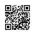 260111389 Wire-lead, Battery(-)