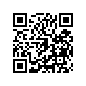 260111429 Wire-lead, Battery(-)