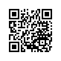 260111778 Wire-lead, Battery(-)