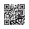 260113915 Wire-lead, Battery(-)-