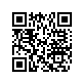 269501576 Lever