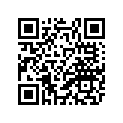 26H-11413-21-00 Подшипник Скольжения