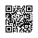 26H-12168-80-00 PAD, ADJUSTING
