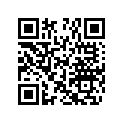 270000025 SHIM 1.3 MM