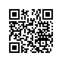 270000143 Cale Epaisseur *shim-3.3mm.
