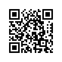 270000446 Shim 1.3 mm