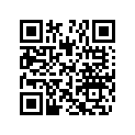 270000762 Shim 1.3 mm