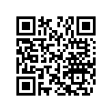 270000865 Shim 1.3 mm