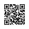 27008-0048 KEY-LOCK,BLANK,#A