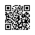 270080049 Key-lock, Blank, #b (option)