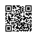 270080065 Key-lock, Blank, Immobi