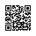 270081131 Key-lock, Blank (option)