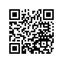 270083746 Key-lock (option)