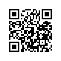 270083747 Key-lock (option)