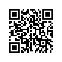 270083755 Key-lock (option)