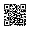 270083761 Key-lock (option)