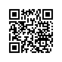 270500131 GASKET