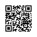 270500316 Levier Etrang. *lever-choke