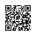 272000053 Shim