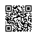27326-19B00-060 Shim (t:0.60)