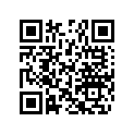 274001010 Rubber Pad