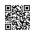 27445-19B00-035 Shim (t:0.35)