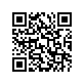 27600-02B11-120 Chain