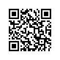 27600-28C01-116 CHAIN