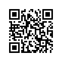 27620-05220 JOINT, CHAIN (RK)